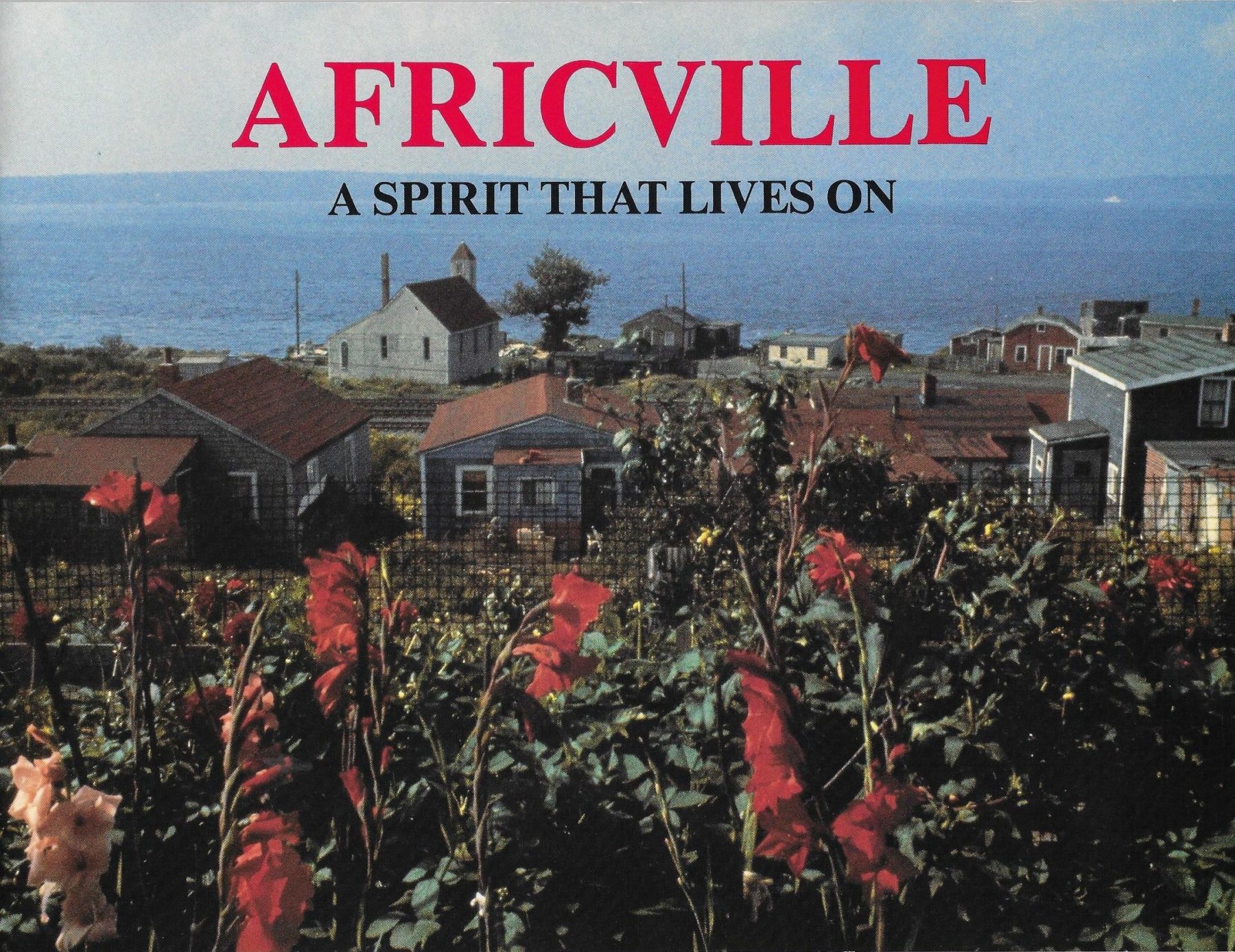 Africville: A Spirit that Lives On – A Reflection Project – MSVU Art Gallery