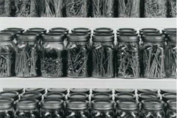 Kelly Mark. Nail Collection (detail). Canning shelf, 168 500ml mason jars, nails; 147.3 x 76.2 x 30.4 cm. (1995)