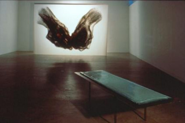 Darci Mallon. Our Red Scarf. Installation view. Ink, mylar, steel, glass, and light. L'oeil de Poisson in Quebec City. Photo by Ivan Binet (1997)